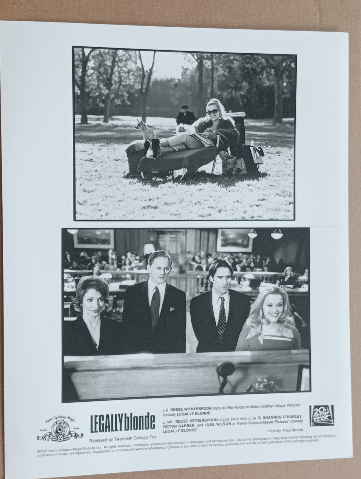 Legally Blonde - Originele Filmpersfoto (2001), Ophalen of Verzenden