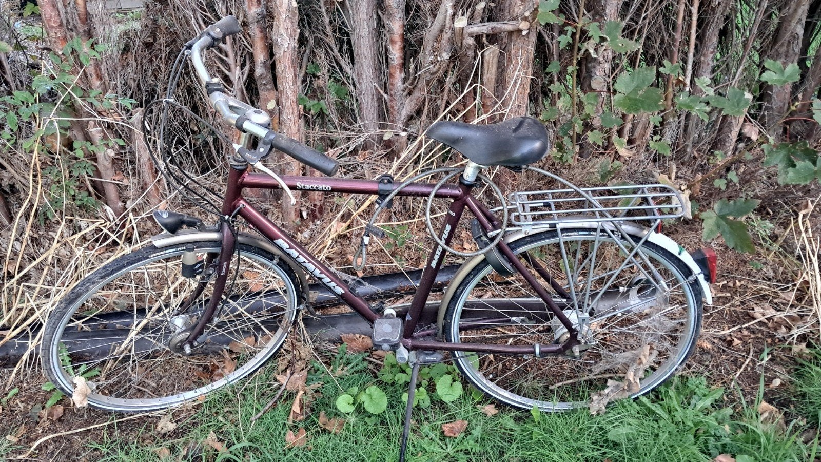 Batavus Staccato herenfiets - Gebruikt, Ophalen, Velgrem, Versnellingen, Batavus