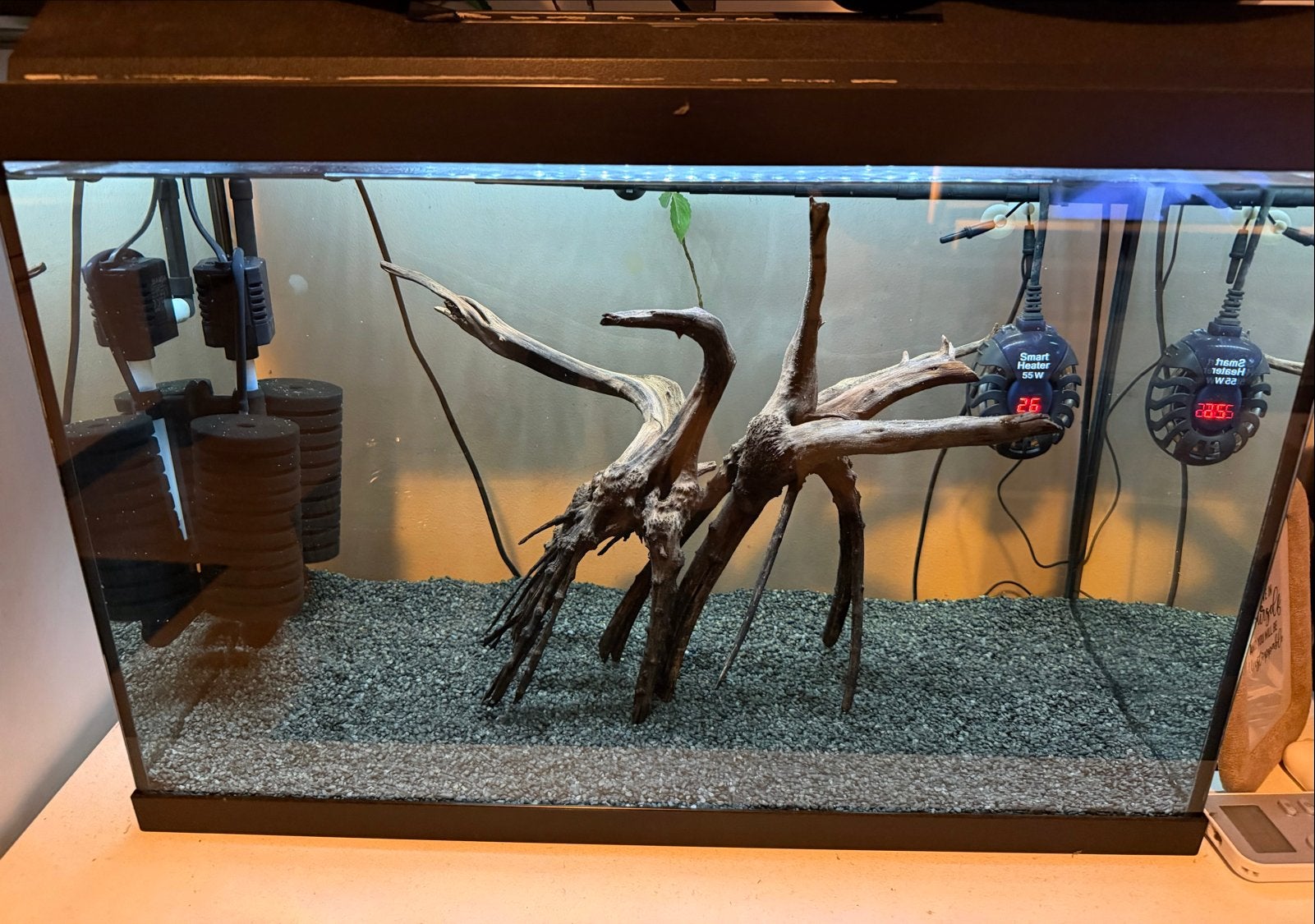 Juwel aquarium, Ophalen, Gebruikt, Gevuld zoetwateraquarium, Juwel
