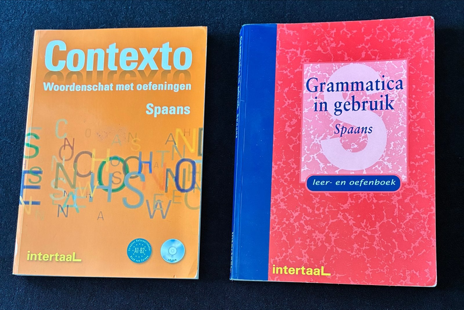 Spaanse lesboeken en woordenboeken, Ophalen of Verzenden, Gelezen, Non-fictie