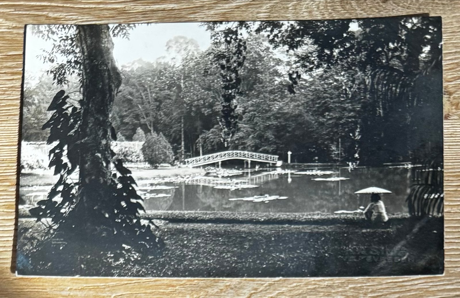 Oude foto Kasima Weltevreden, Indonesië, Buitenzorg 1929, Ophalen of Verzenden, 1920 tot 1940, Ongelopen, Buiten Europa