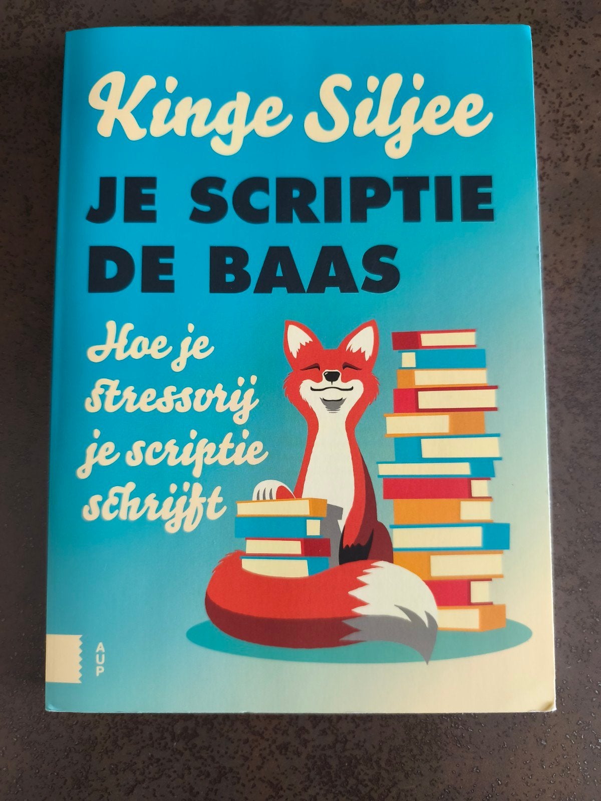 Je scriptie de baas - Kinge Siljee (Studieboek), Kinge Siljee, Zo goed als nieuw, Gamma, HBO