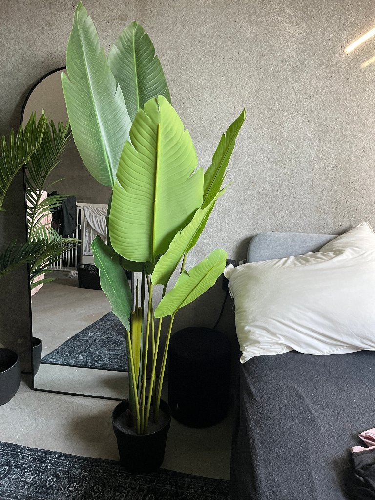 Ikea nep plant 163 cm hoog., Ophalen, Overige soorten, Halfschaduw, 150 tot 200 cm