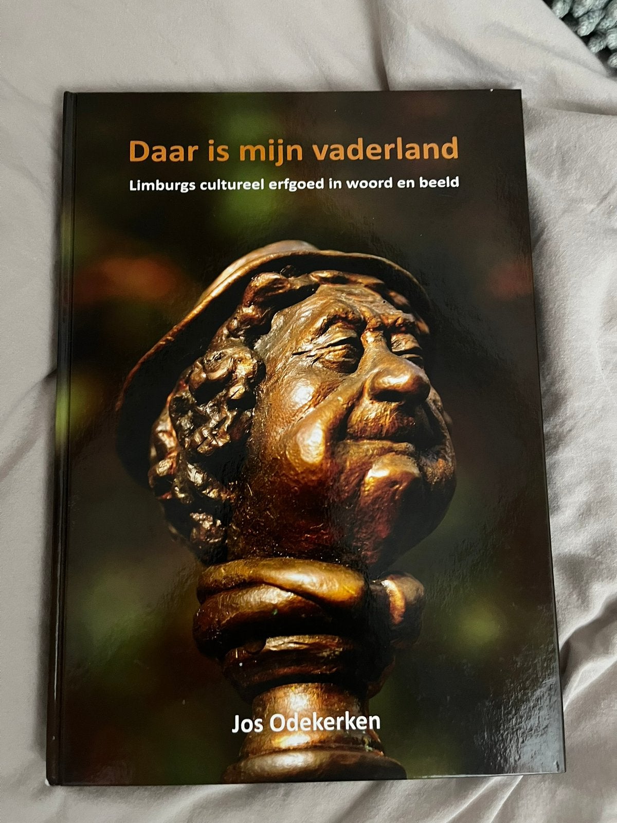 Boek Daar is mijn vaderland - limburgs cultureel erfgoed, Ophalen of Verzenden, Zo goed als nieuw