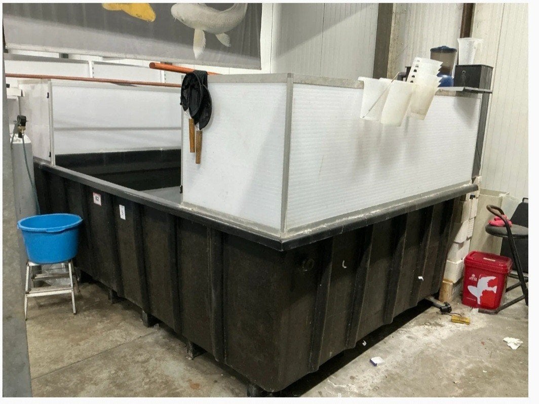 Polyester Koi Quarantaine bak 10 kuub, Ophalen