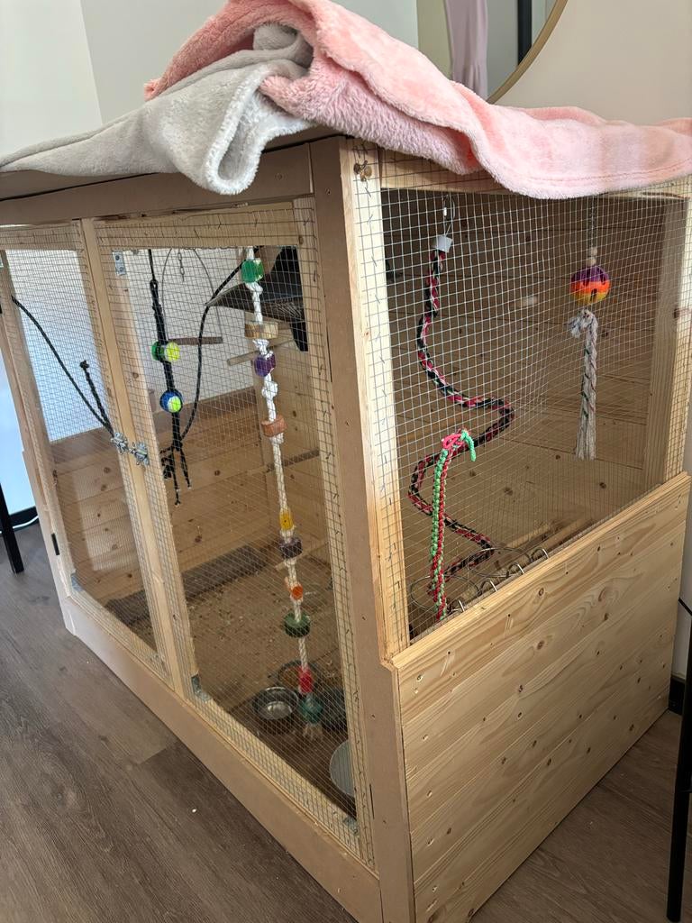 Agapornissen met kooi!, Dieren en Toebehoren, Vogels | Parkieten en Papegaaien, Meerdere dieren, Parkiet