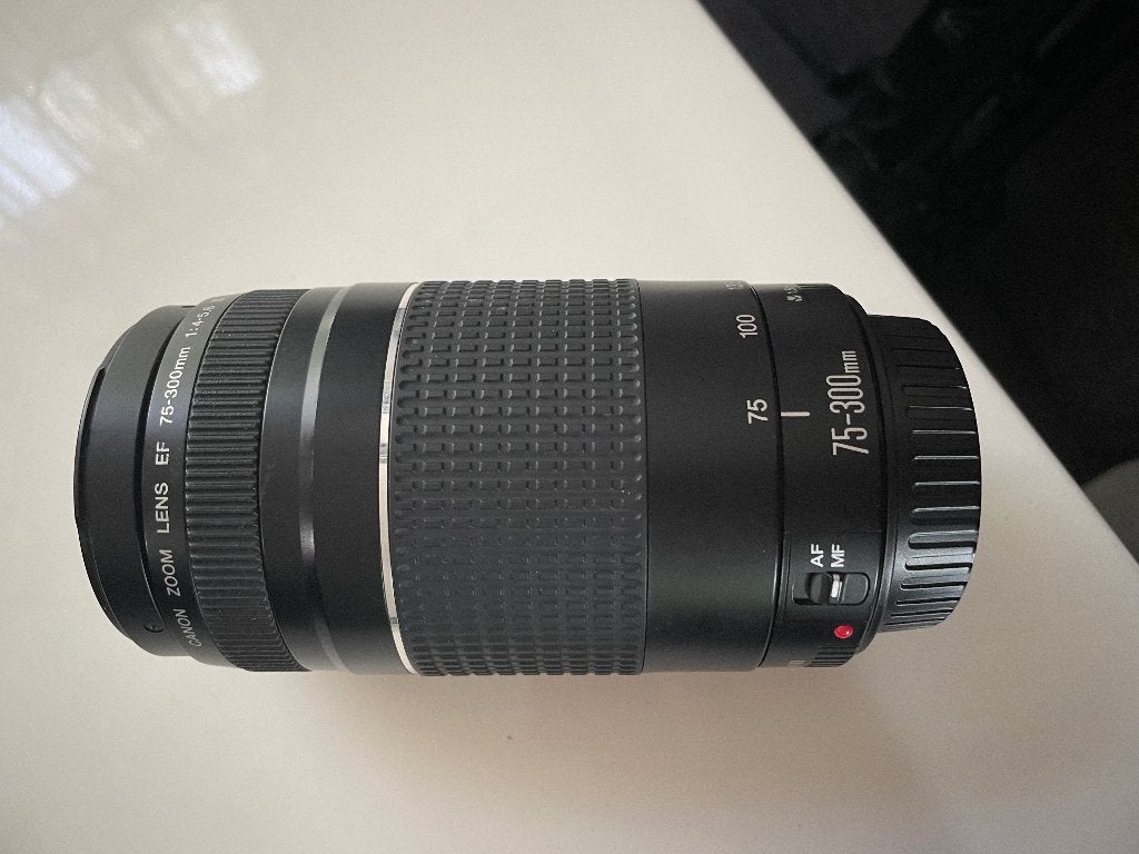 Canon zoom lens EF 75-300mm, Audio, Tv en Foto, Fotografie | Lenzen en Objectieven, Ophalen, Zo goed als nieuw, Telelens, Zoom