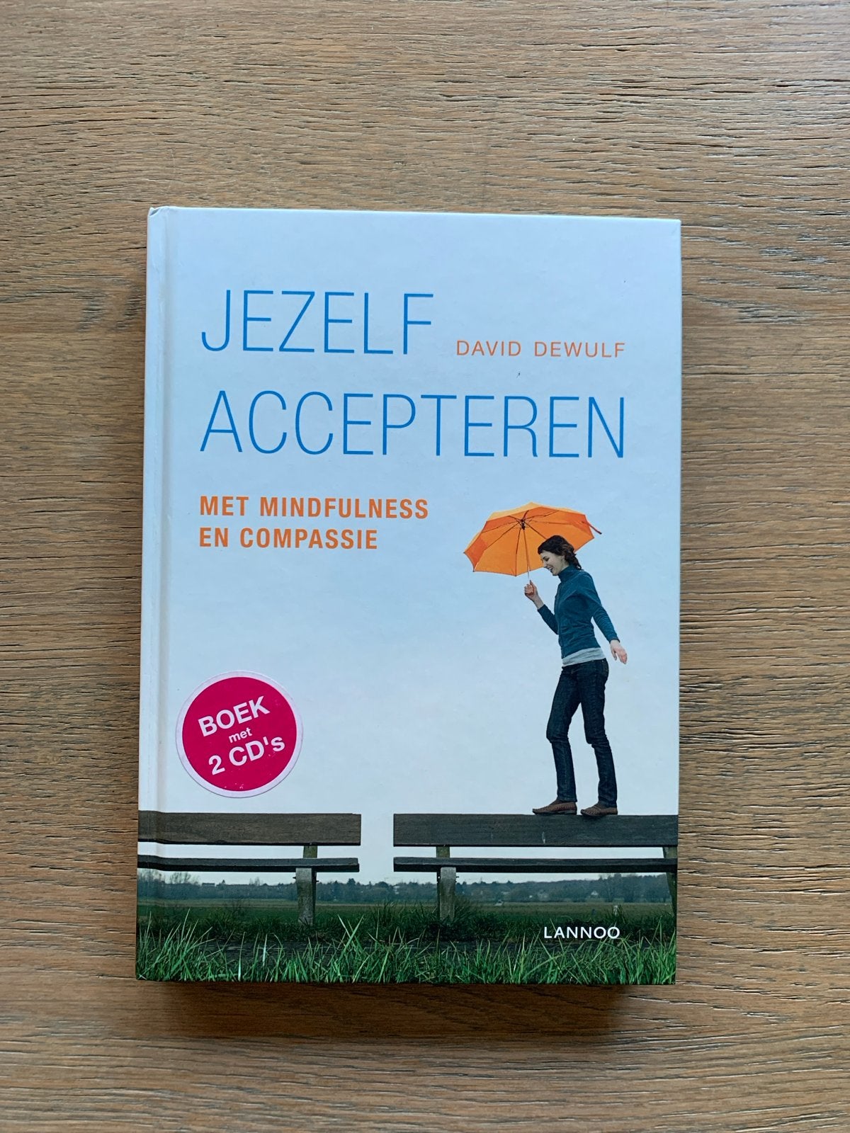 Jezelf Accepteren - David Dewulf (met CD's), Ophalen of Verzenden, Gelezen