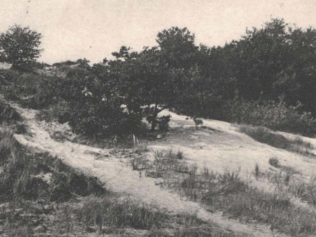 948537 Bergen NH 1936 Duinen Gelopen met postzegel, Ophalen of Verzenden, 1920 tot 1940, Gelopen, Noord-Holland