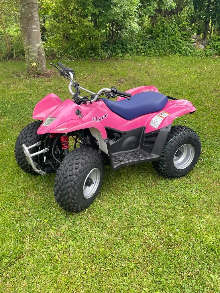 Suzuki LT-Z50, Motoren, Quads en Trikes, 1 cilinder, 50 cc