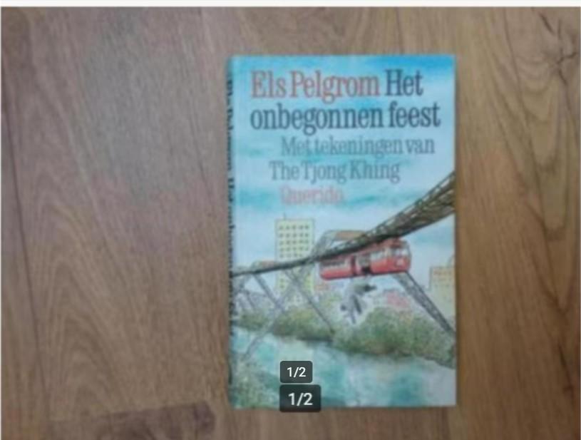 Els Pelgrom, Het onbegonnen feest, Boeken, Ophalen of Verzenden, Zo goed als nieuw