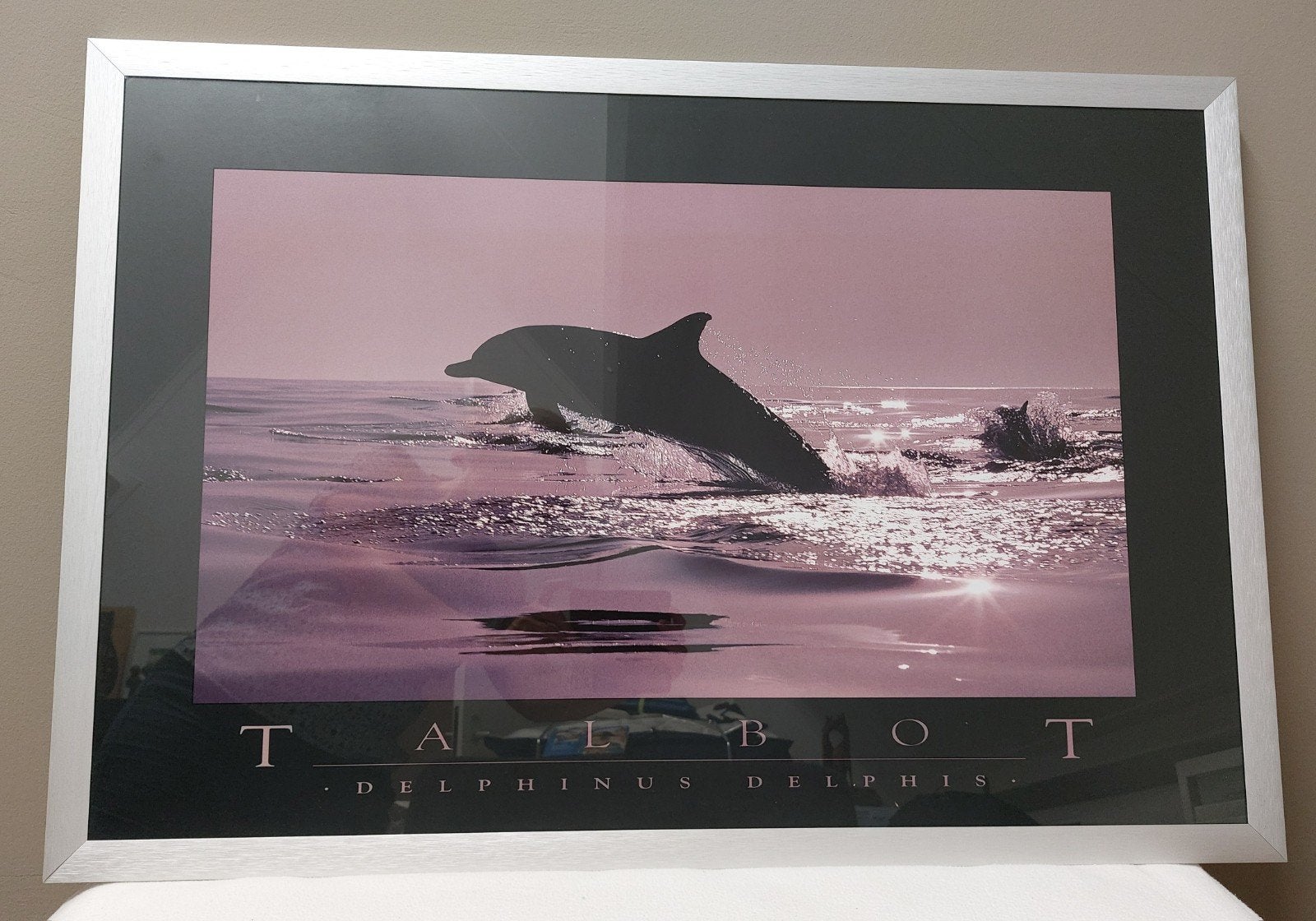 Poster in geborsteld RVS lijst met glasplaat (95x65 cm), Huis en Inrichting, Ophalen, Overige materialen, 65 cm, 95 cm