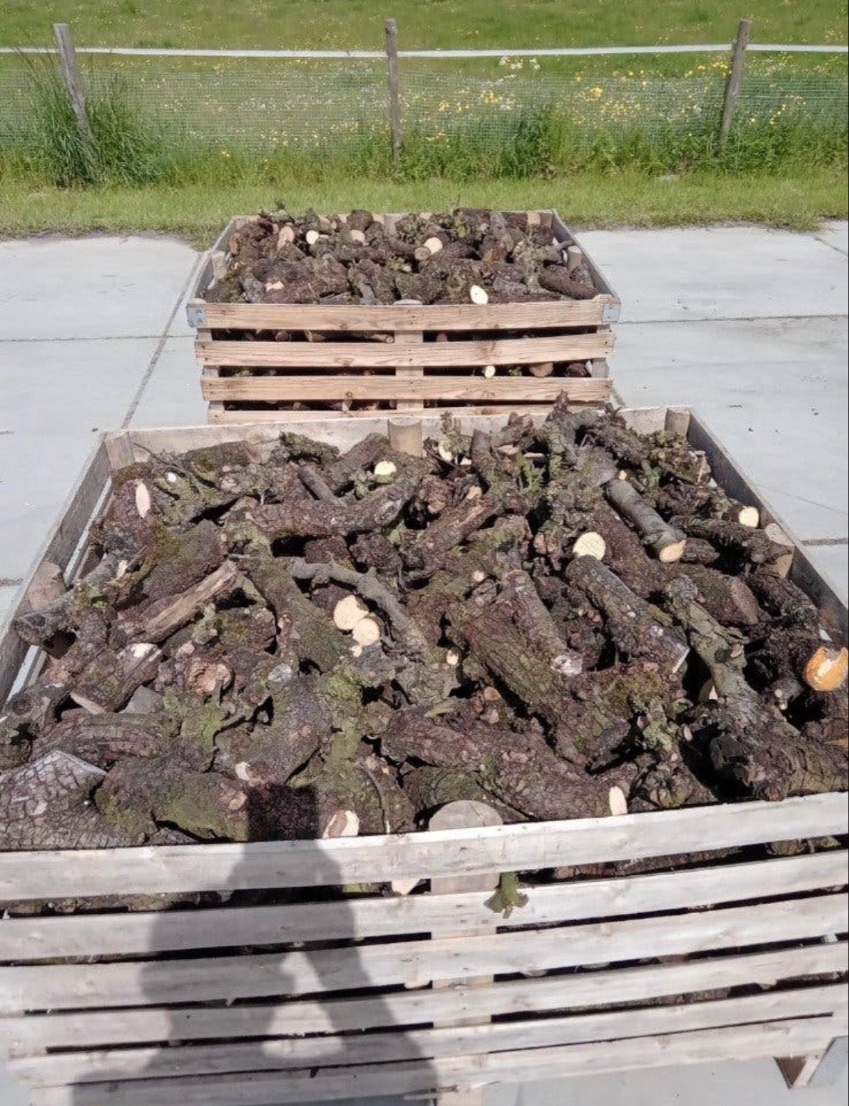 2 jaar gedroogd perenhout stammetjes, 0,8 kuub kachelklaar, Tuin en Terras, Minder dan 3 m³, Ophalen, Overige houtsoorten, Stammen