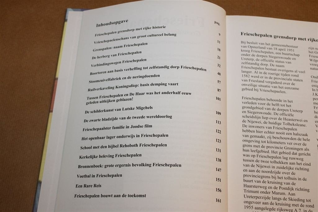 Frieschepalen — Grensdorp met Rijke Historie, Ophalen of Verzenden, Zo goed als nieuw