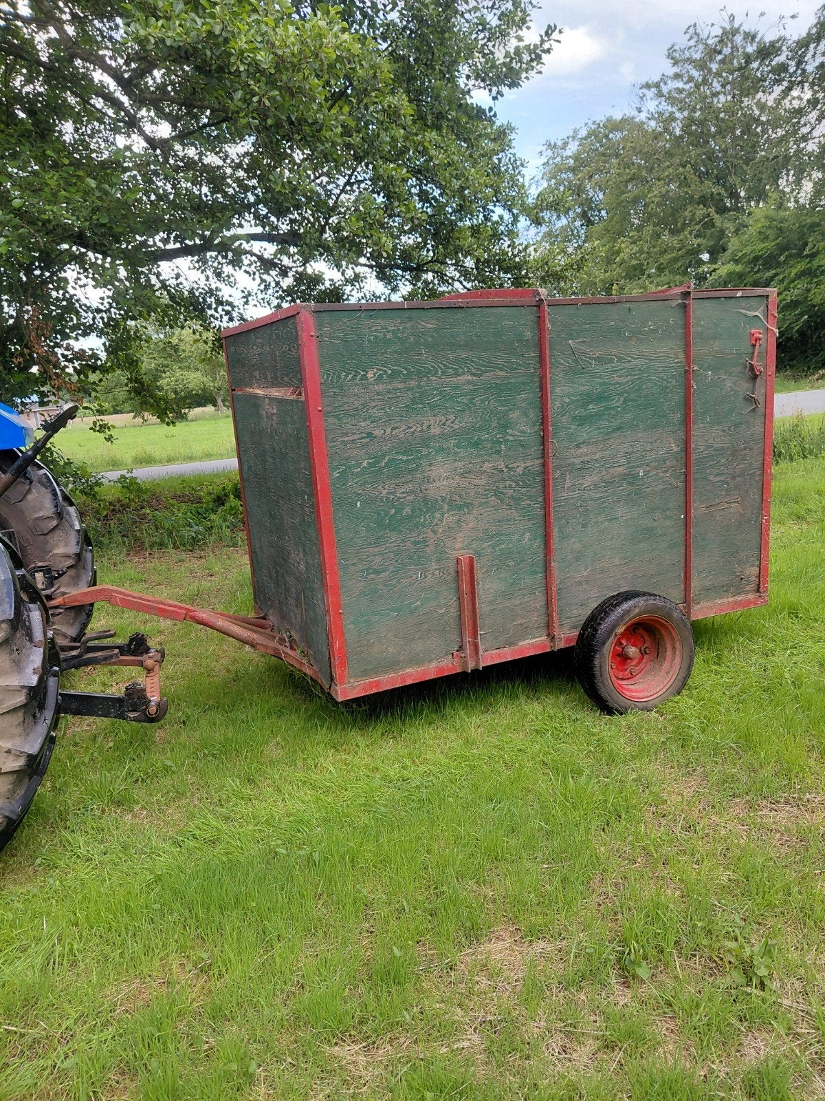 Oude veekar, Mannelijk, Schaap