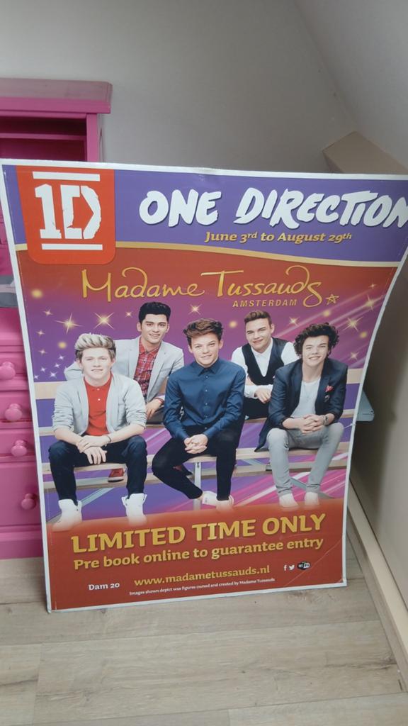 ONE DIRECTION VERSTEVIGDE GROTE POSTER uniek, Ophalen