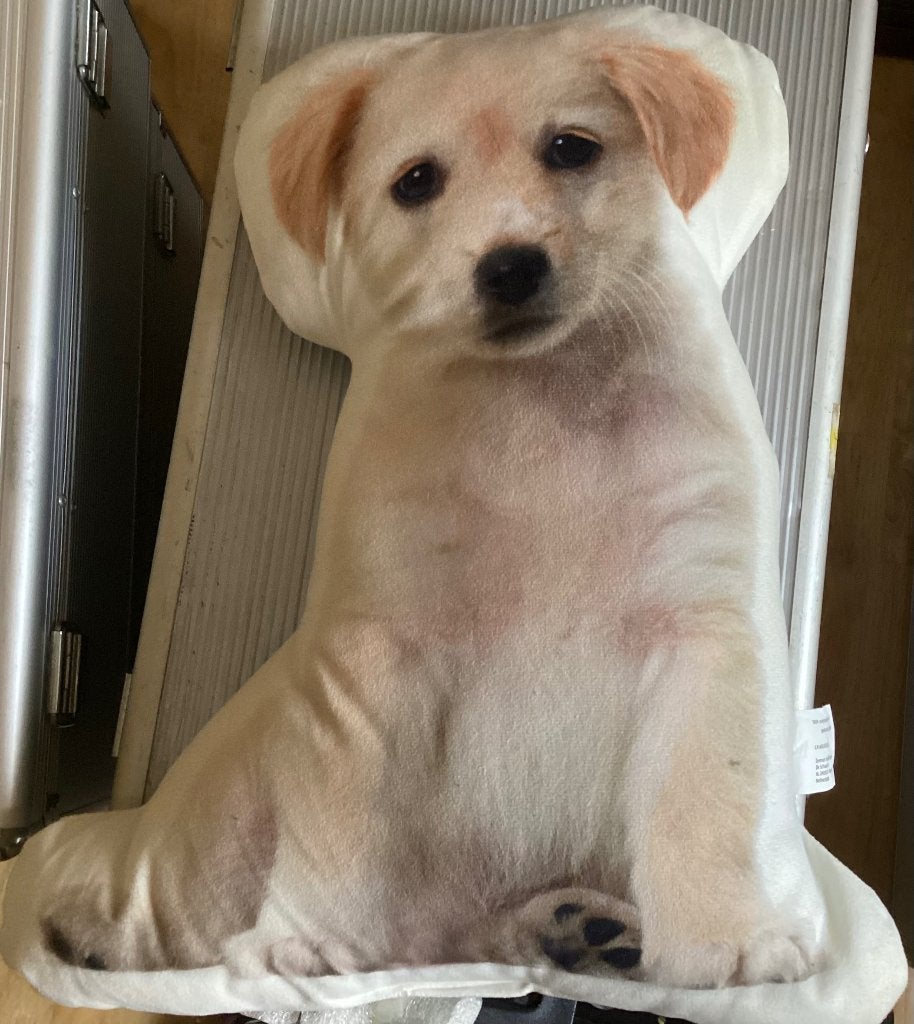 Kussen hond Golden Retriever, Ophalen of Verzenden, Zo goed als nieuw, Vierkant