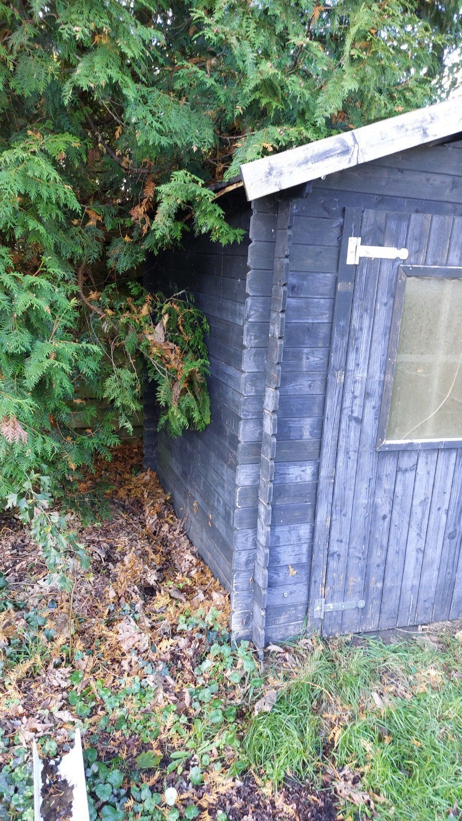 Houten tuinhuisje met ramen, Ophalen, Overige materialen, Gebruikt, Overige materialen