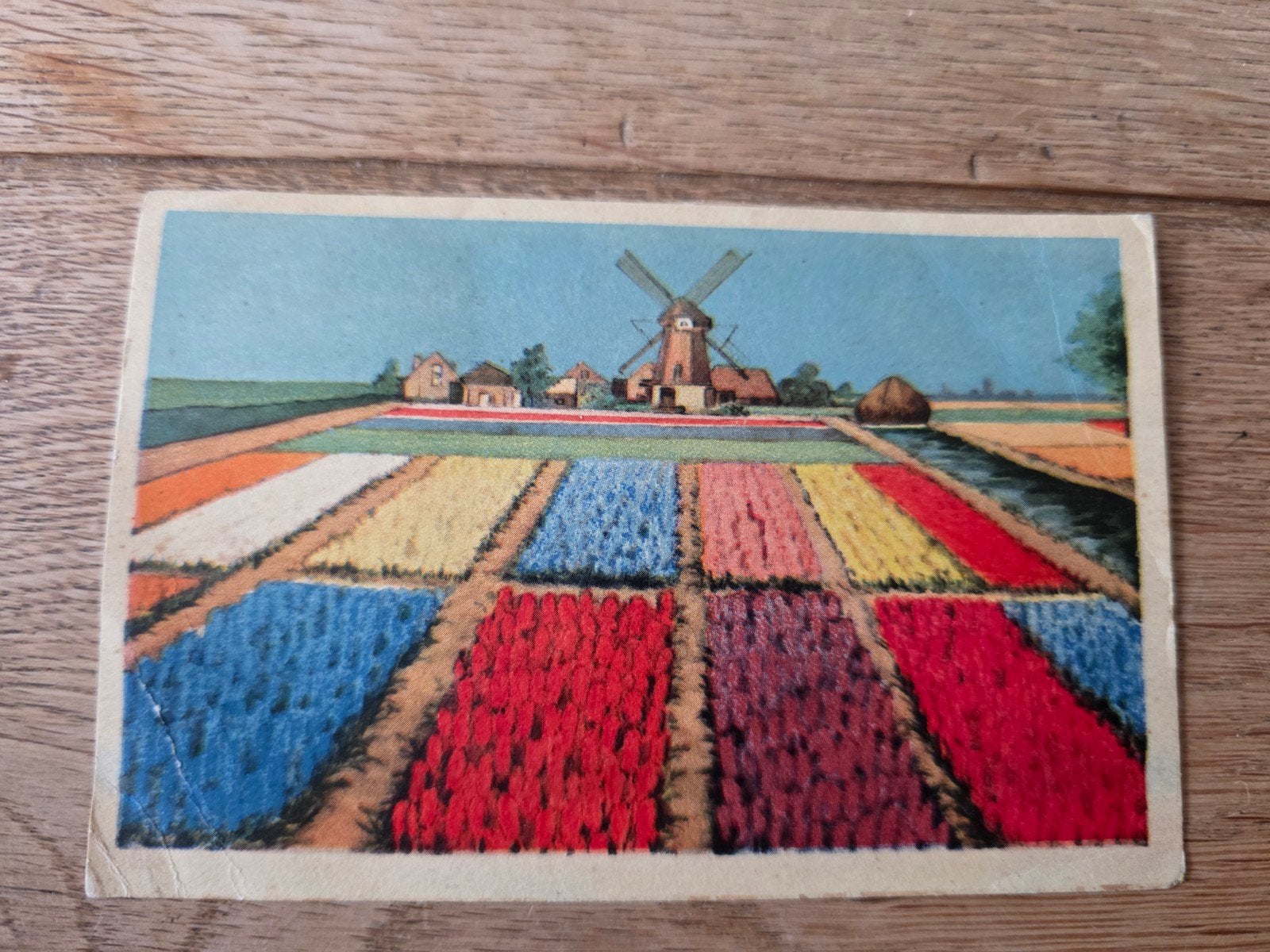 Bollenvelden Haarlem en omstreken, Ophalen of Verzenden