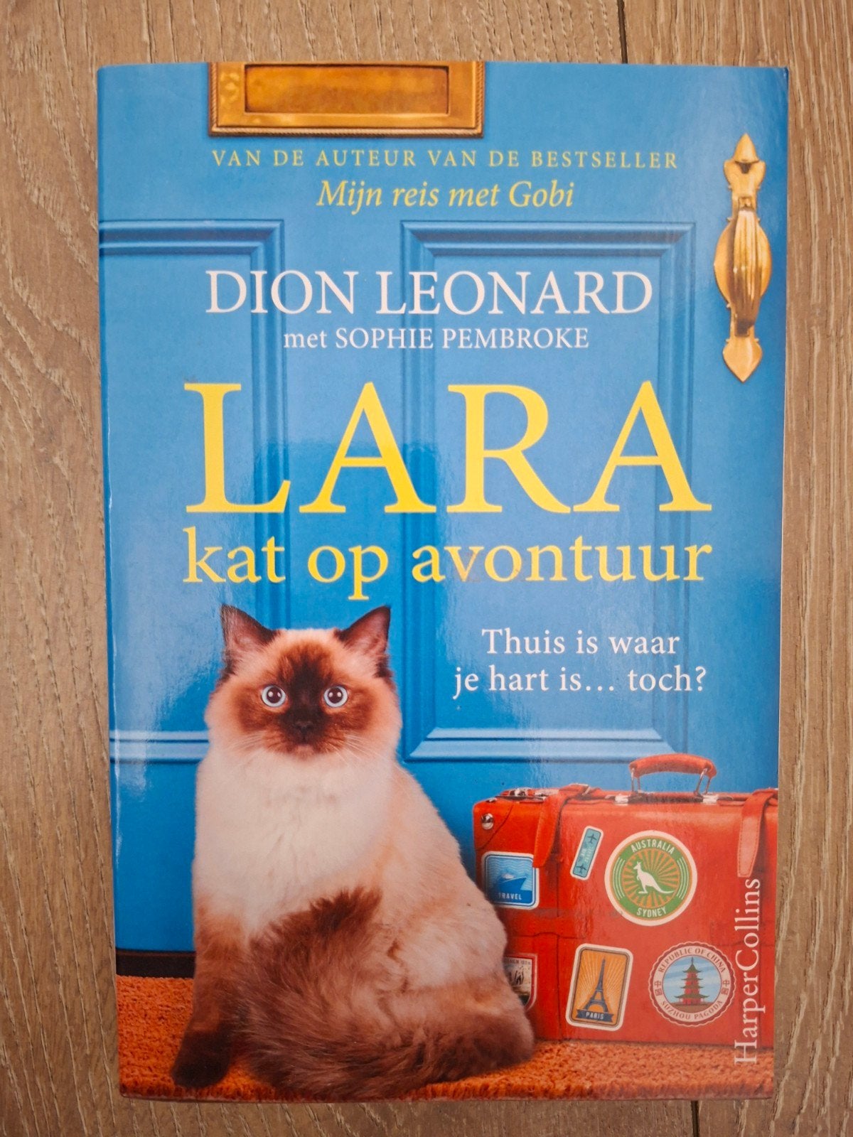 Boek Lara Kat op Avontuur - Dion Leonard, Ophalen of Verzenden, Zo goed als nieuw, Dion Leonard