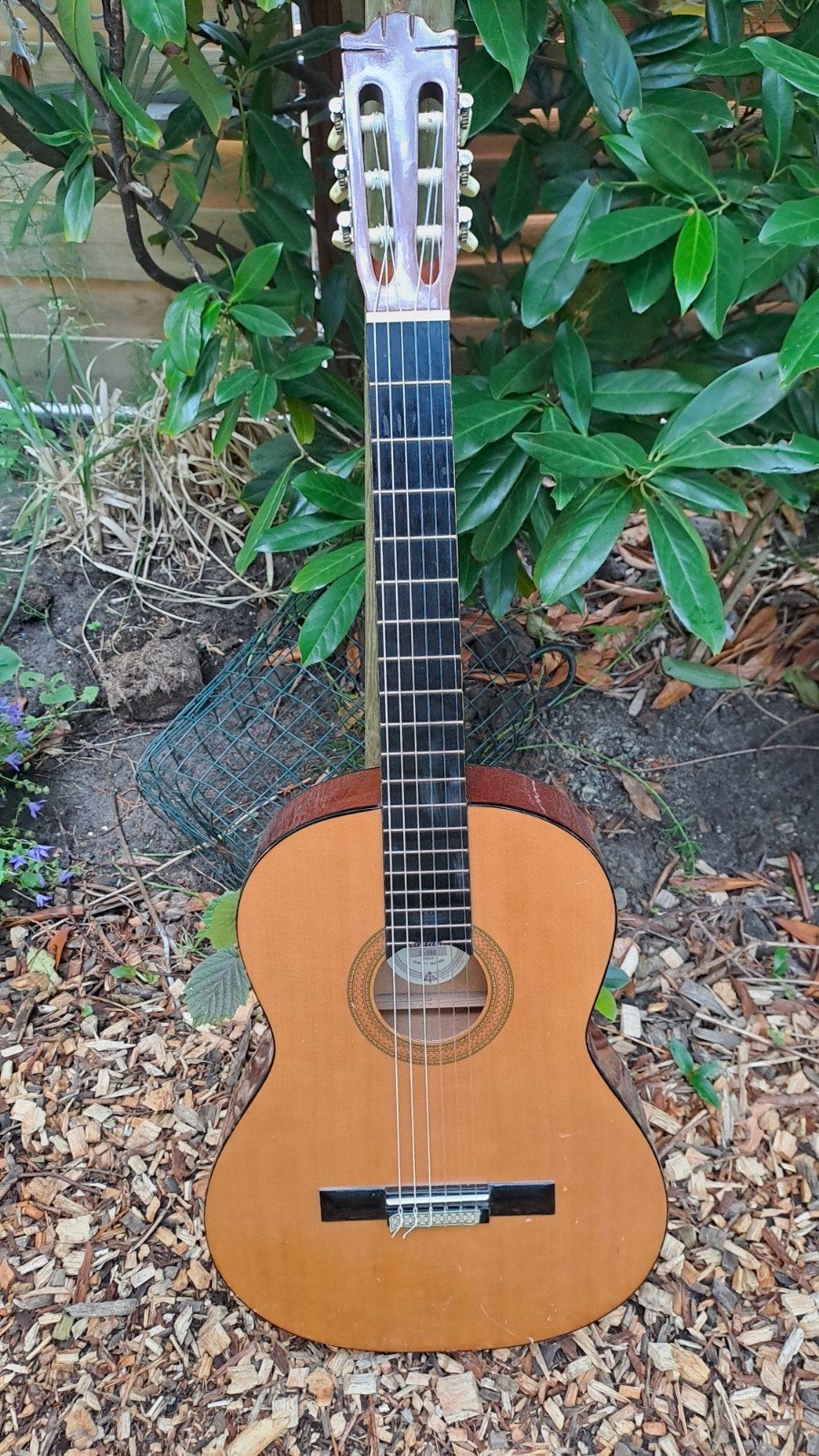 Santana C-100 Spaanse Gitaar - Klassiek Model, Ophalen, Gebruikt, Klassieke of Spaanse gitaar
