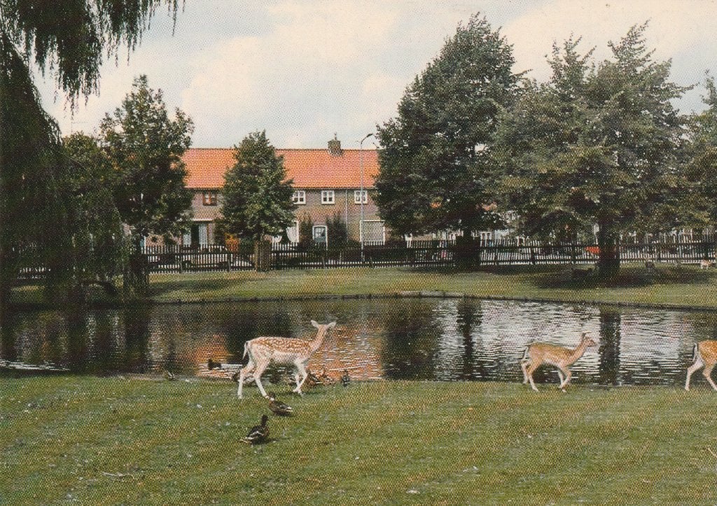 Alblasserdam Hertenkamp 02 - Vintage Ansichtkaart, Verzamelen, Ophalen of Verzenden, 1960 tot 1980, Ongelopen, Zuid-Holland