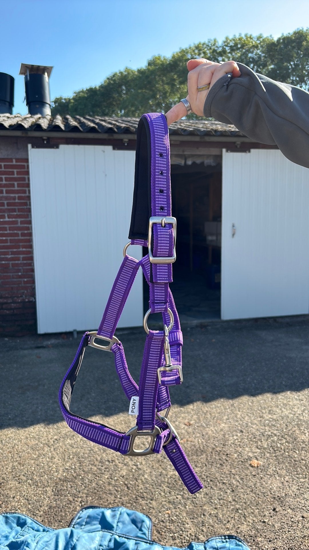 Paars halster maat pony, Paars, Nieuw, Verstelbaar, Ophalen of Verzenden