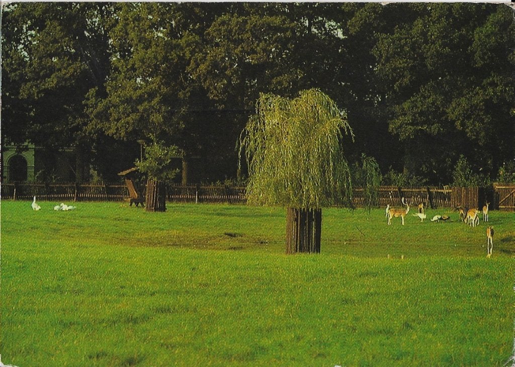 Winterswijk Hertenkamp gelopen Ansichtkaart ( 7671), Ophalen of Verzenden, Voor 1920, Gelopen, Gelderland