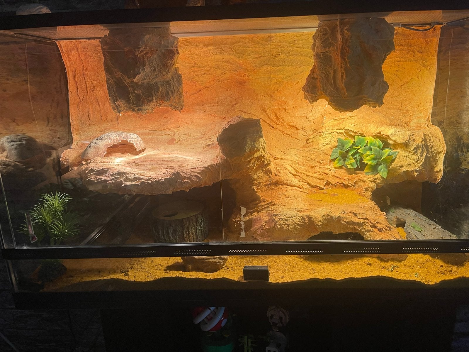 Terrarium met 3D achterwand, Dieren en Toebehoren, Ophalen, Zo goed als nieuw, Terrarium of Paludarium