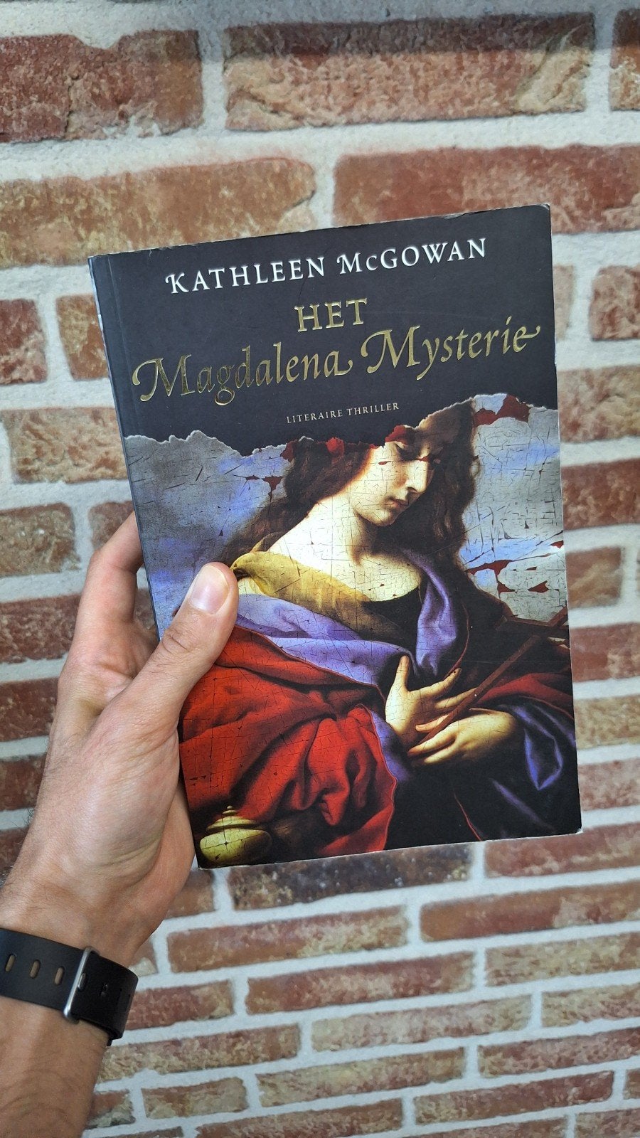 Het Magdalena Mysterie - Kathleen McGowan (Gelezen), Boeken, Ophalen of Verzenden, Gelezen