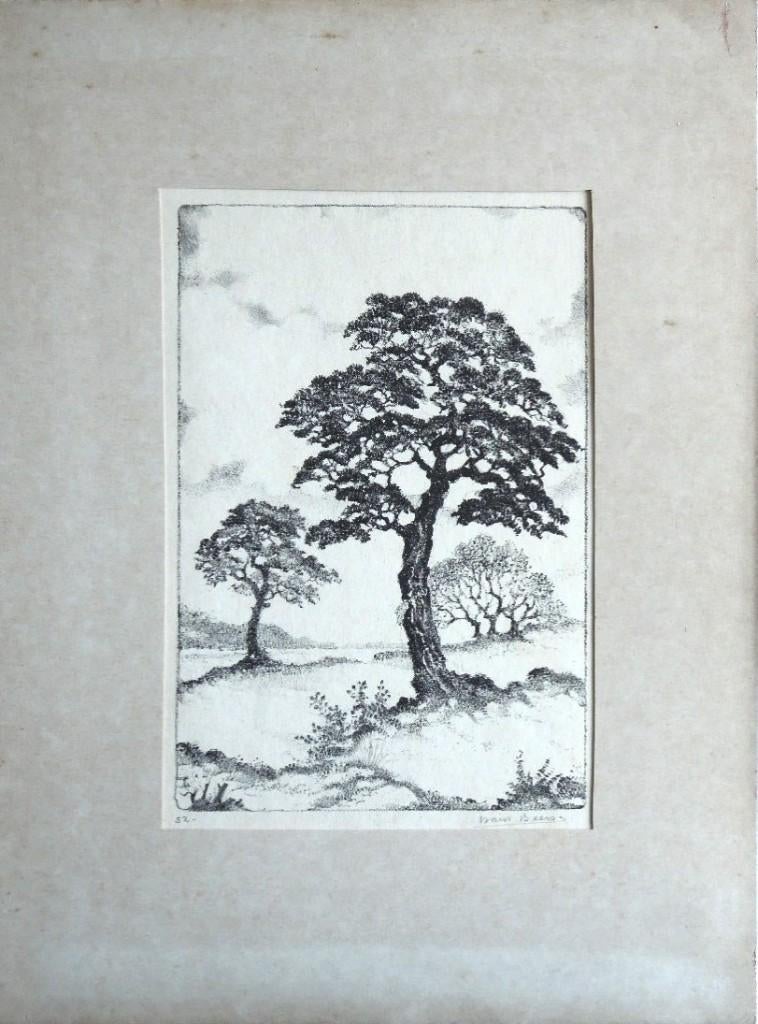Hans Beers litho "Bomen in Landschap", 1952, gesigneerd, Antiek en Kunst, Kunst | Litho's en Zeefdrukken, Ophalen
