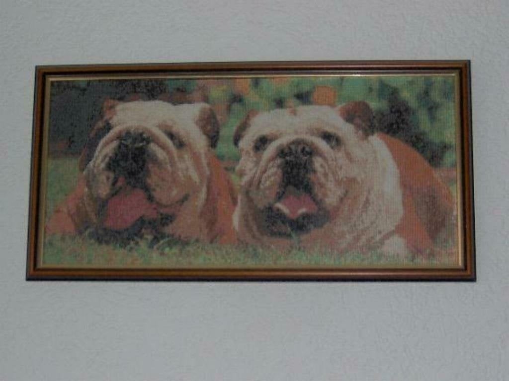 2 engelse ulldoggen bulldog in telpatroon ongeveer 53 / 27, Ophalen, Gebruikt, Hond of Kat, Beeldje of Figuurtje