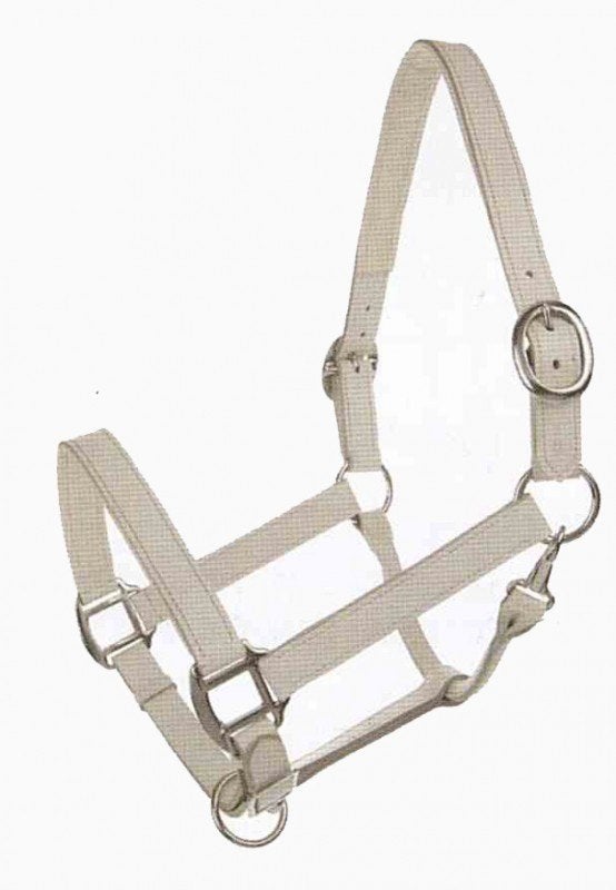 wit leren halster, Dieren en Toebehoren, Paarden en Pony's | Hoofdstellen en Tuigage, *, Verzenden, Wit, *