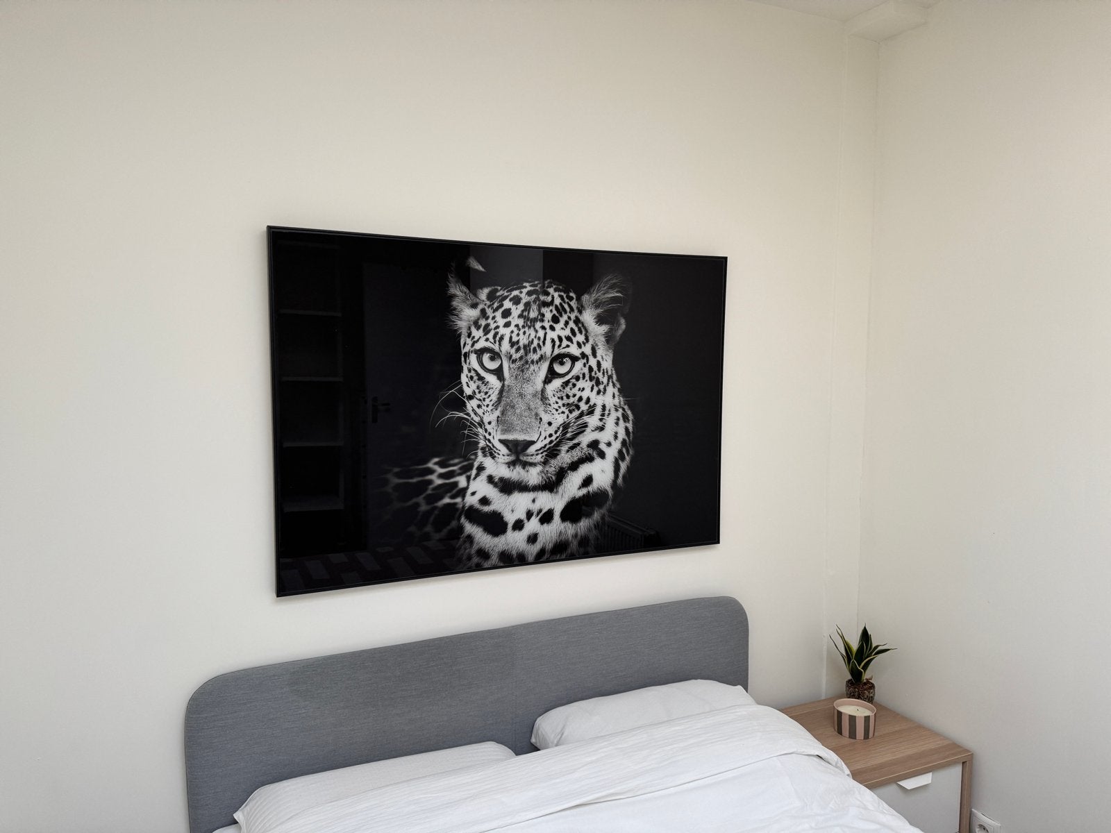 Prachtige zwart-wit luipaard foto op plexiglas, Huis en Inrichting, Woonaccessoires | Schilderijen, Tekeningen en Foto's, Ophalen