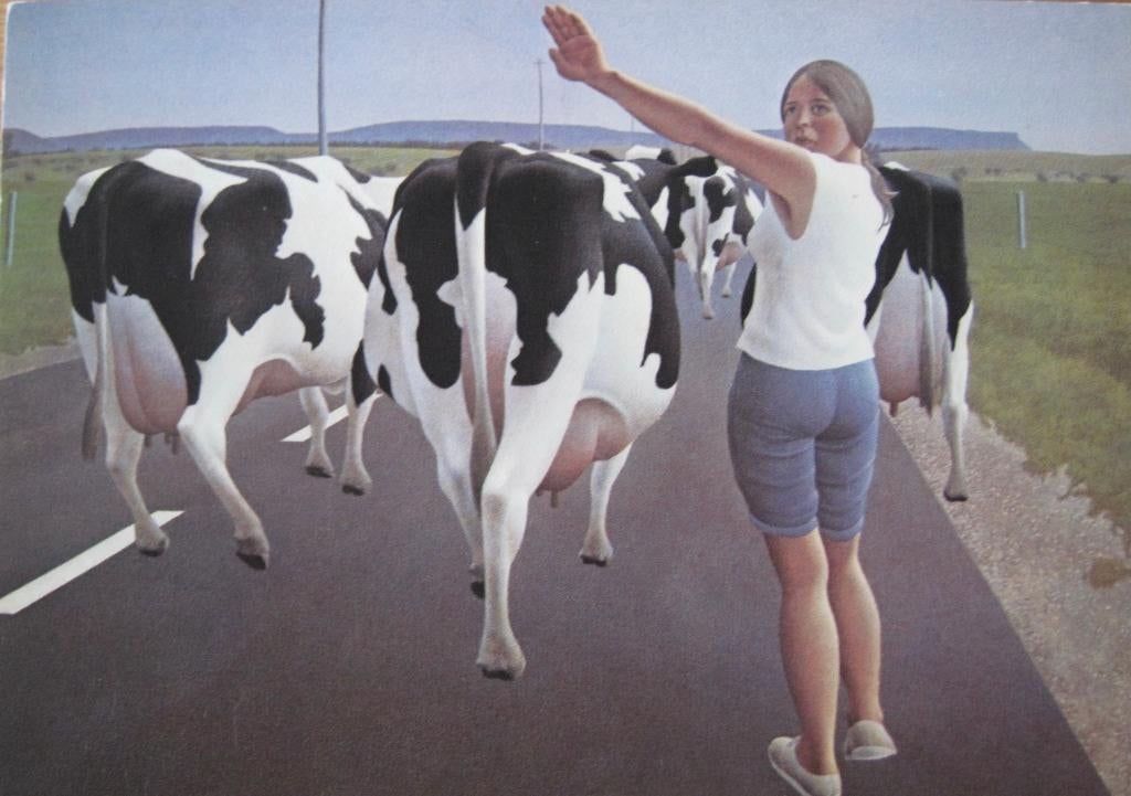 Alex Colville - halt voor koeien - 1967 - nieuw, Verzenden, 1960 tot 1980, Ongelopen, Overige thema's
