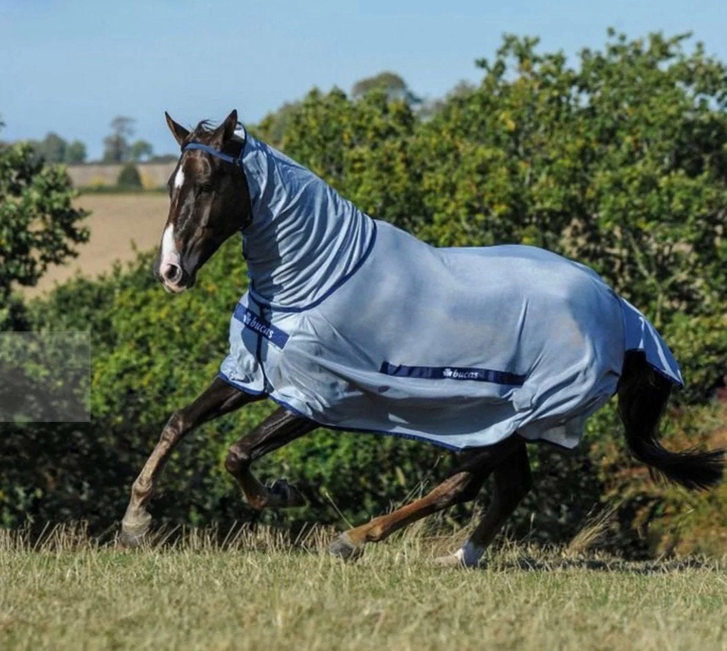 Vliegen deken bucas Buzz-off full neck, Dieren en Toebehoren, Paarden en Pony's | Dekens en Dekjes, Ophalen of Verzenden, Nieuw