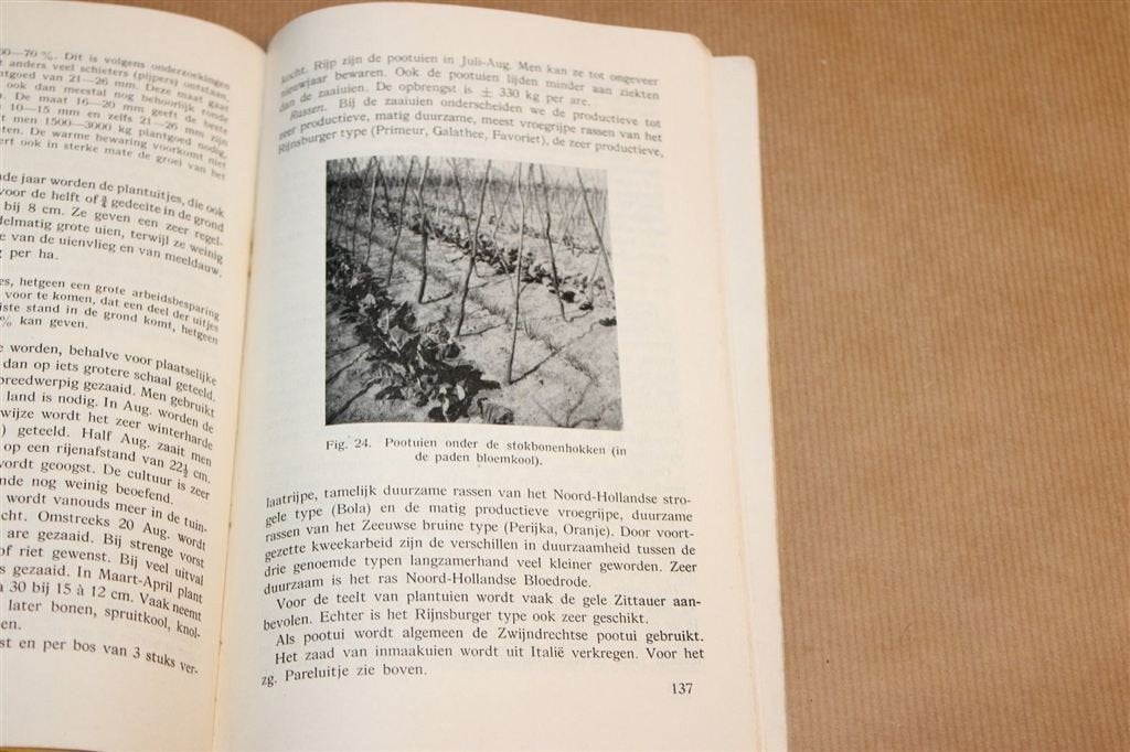 Groenteteelt — Landbouw Onderwijs Tuinbouw Gids [1951], Boeken, Ophalen of Verzenden, Gelezen