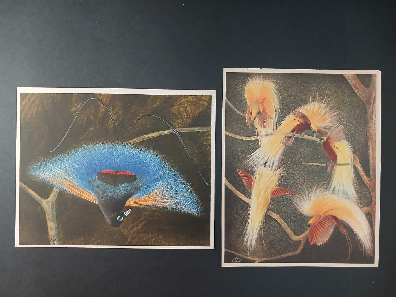 Paradijsvogels namen zie omschrijving - getekend, Verzamelen, Verzenden, Zo goed als nieuw, 1940 tot 1960, Dier