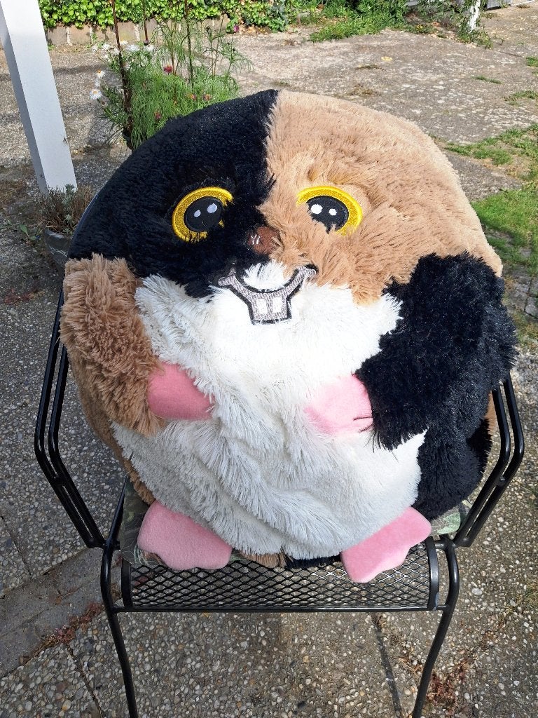 gratis knuffel bal, Ophalen, Zo goed als nieuw, Hamster, Middelgroot (20 tot 80 cm)