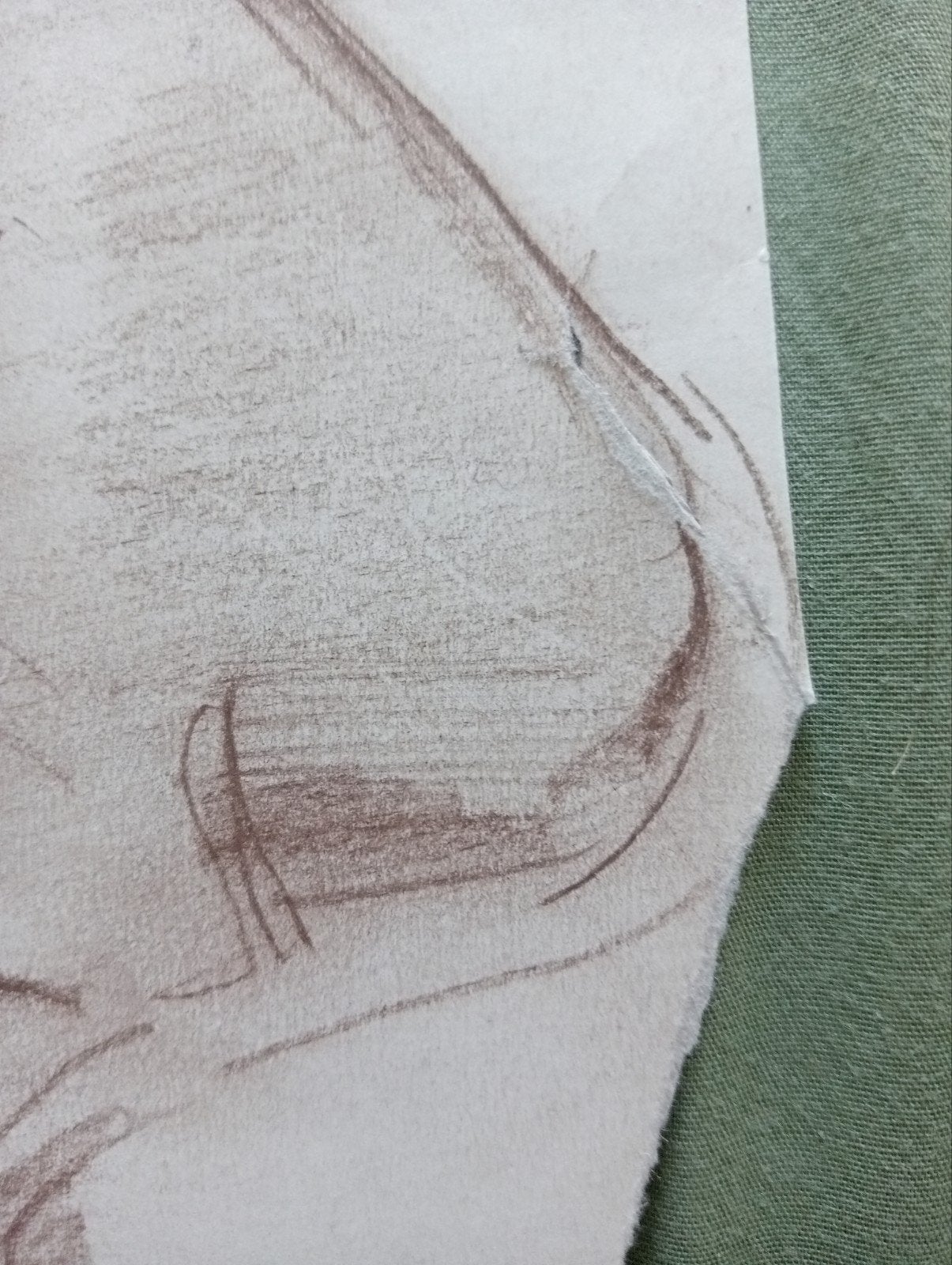 Jan Visser tekening Buffel jaren 40-50 Blijdorp Rotterdam, Antiek en Kunst, Kunst | Tekeningen en Foto's, Ophalen of Verzenden