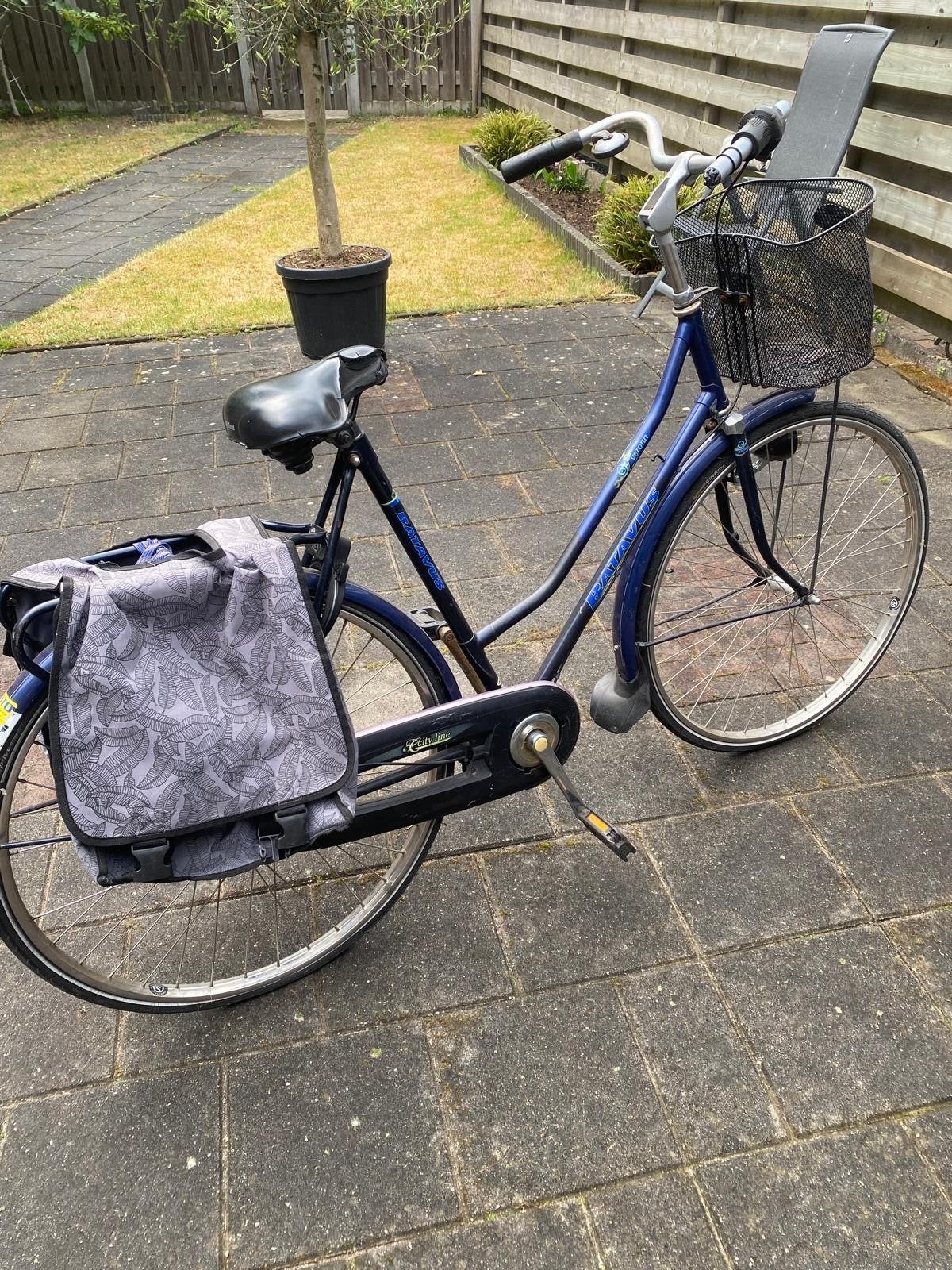 Batavus damesfiets met mand en fietstassen, Terugtraprem, Batavus, Ophalen of Verzenden, 53 tot 56 cm