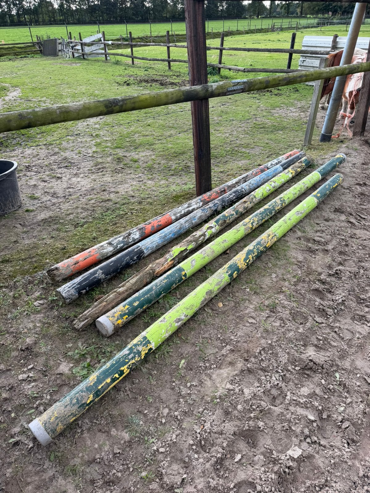 Balken te koop in soest, Dieren en Toebehoren, Ophalen, Zo goed als nieuw, Springen