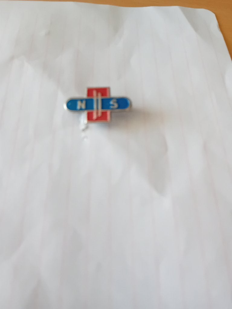 Speldje - N.S. Nederlandse Spoorwegen, Ophalen of Verzenden, Zo goed als nieuw, Transport, Speldje of Pin