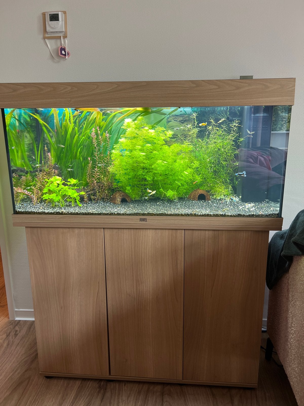 Juwel rio 180 red half jaar oud, Dieren en Toebehoren, Ophalen of Verzenden, Zo goed als nieuw, Leeg aquarium