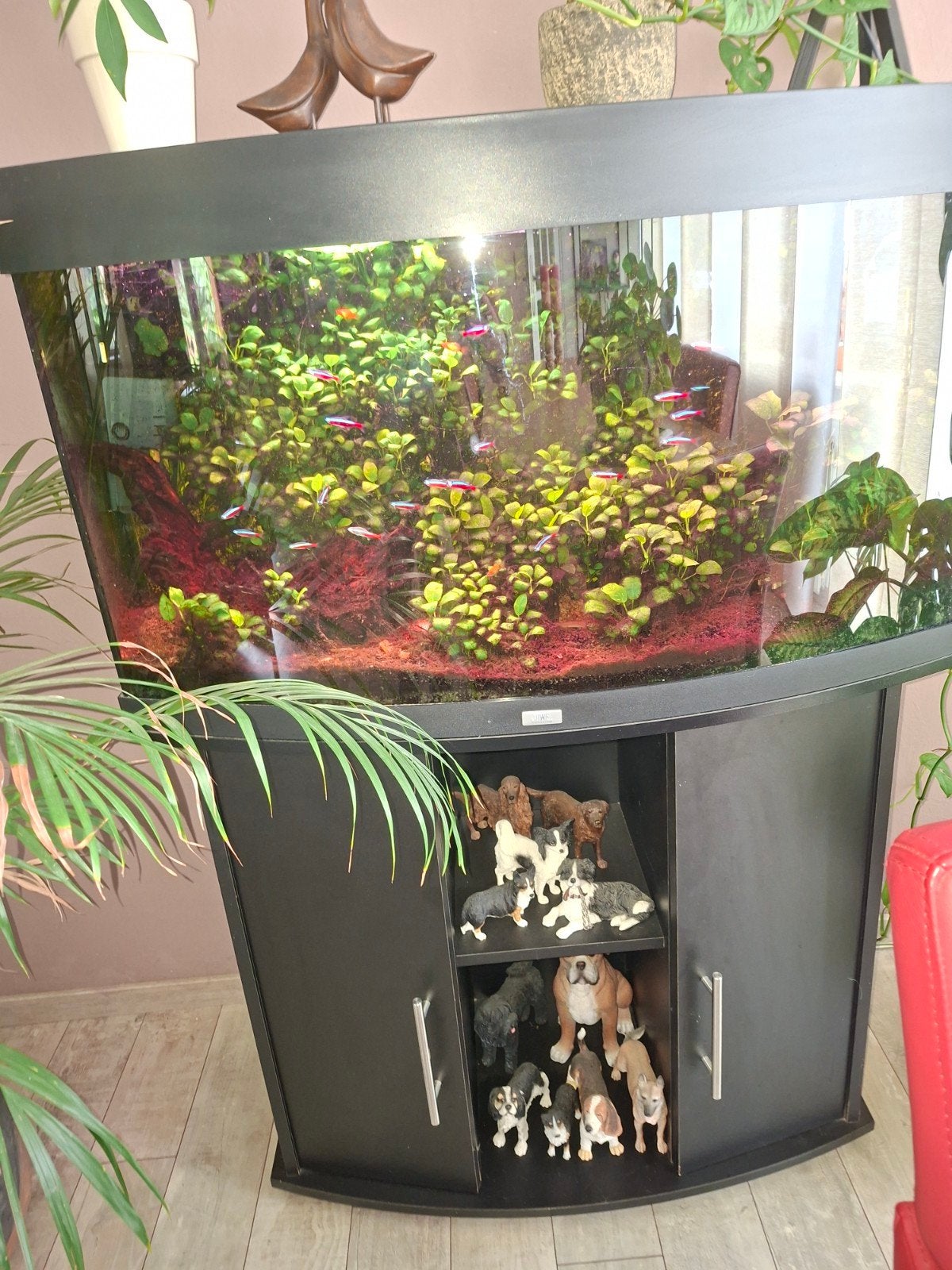 Leuk panorama aquarium., Ophalen of Verzenden, Zo goed als nieuw, Gevuld zoetwateraquarium