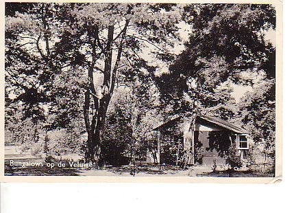 Ansichtkaart	Veluwe	Bungalows, Verzenden, 1940 tot 1960, Gelopen, Gelderland