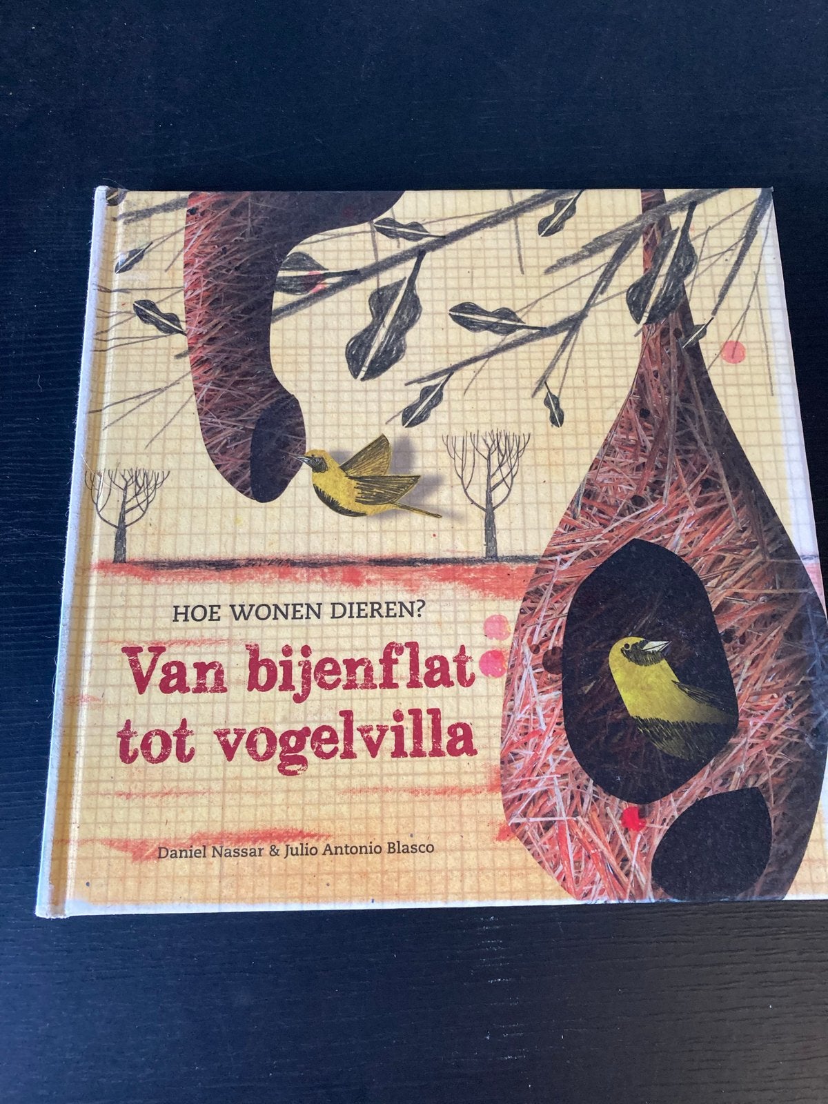 Van bijenflat tot vogelvilla - Hoe wonen dieren?, Ophalen of Verzenden, Zo goed als nieuw, Non-fictie