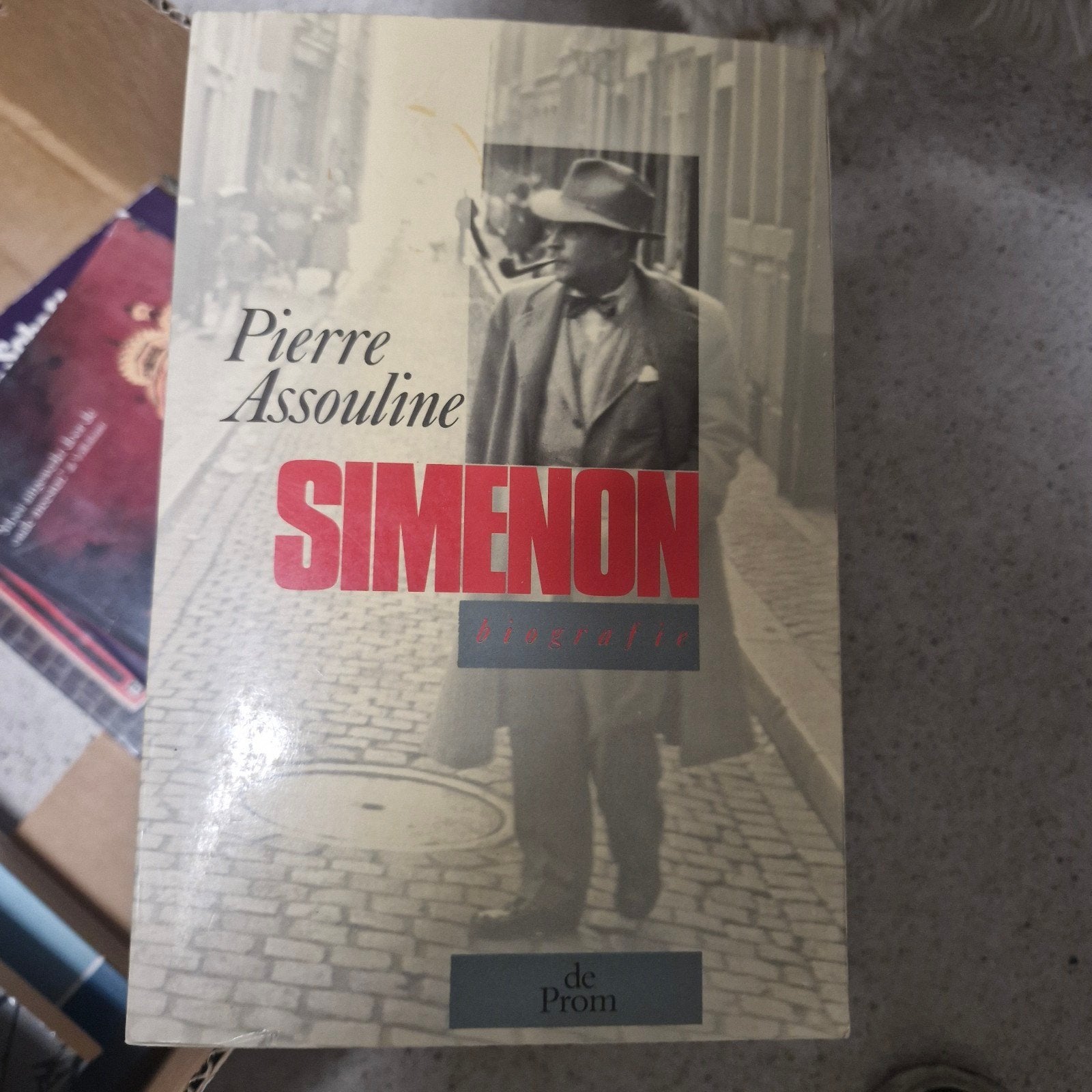 Boek: Simenon door Pierre Assouline, Boeken, Ophalen of Verzenden, Zo goed als nieuw, Pierre Assouline