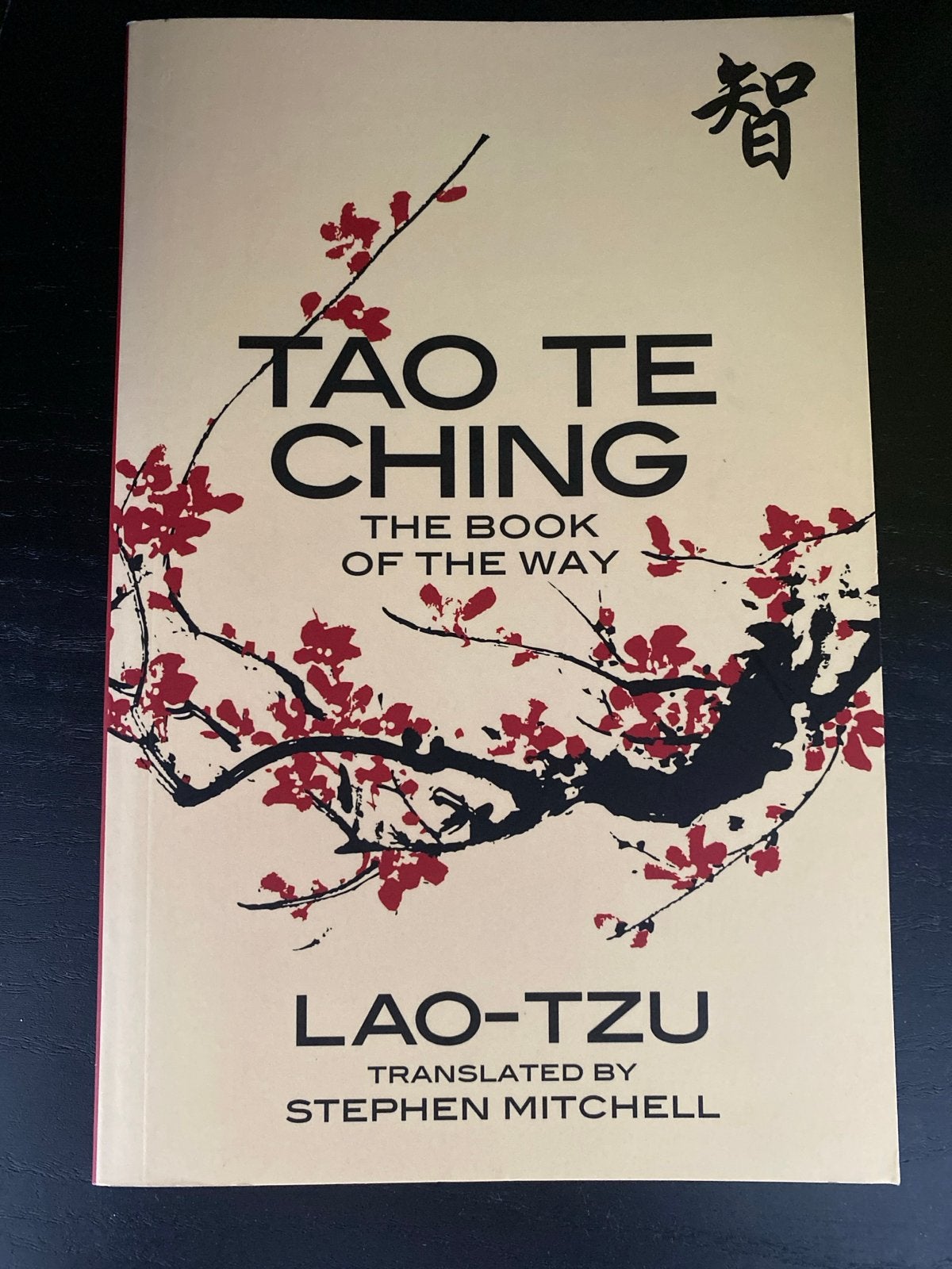 Tao Te Ching - Het Boek van de Weg door Lao-Tzu, Boeken, Ophalen of Verzenden, Zo goed als nieuw, Spiritualiteit algemeen, Achtergrond en Informatie