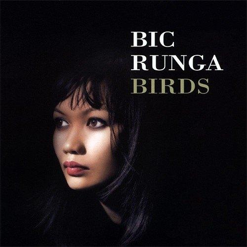 SALE-> CD BIC RUNGA - Birds, Verzenden, Zo goed als nieuw